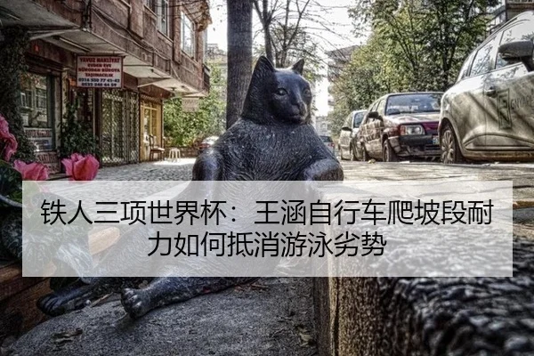 铁人三项世界杯：王涵自行车爬坡段耐力如何抵消游泳劣势