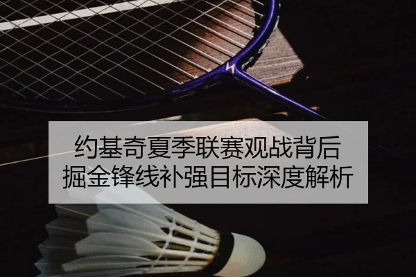 约基奇夏季联赛观战背后 掘金锋线补强目标深度解析